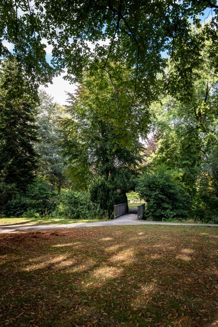 A scenic view of a park or garden area with tall, leafy green trees providing a canopy over a grassy ground with patches of sunlight filtering through the leaves. In the background, a narrow paved pathway is visible, partially obscured by dense shrubbery and bushes. The scene suggests an outdoor environment suitable for walking or outdoor activities, adjacent to a residential or public space. This setting could be part of a property where house removal or relocation services by Removal Van Colliers Wood are planned, incorporating the natural surroundings into the moving process or serving as a staging area for loading or unloading furniture and boxes in a home relocation project.