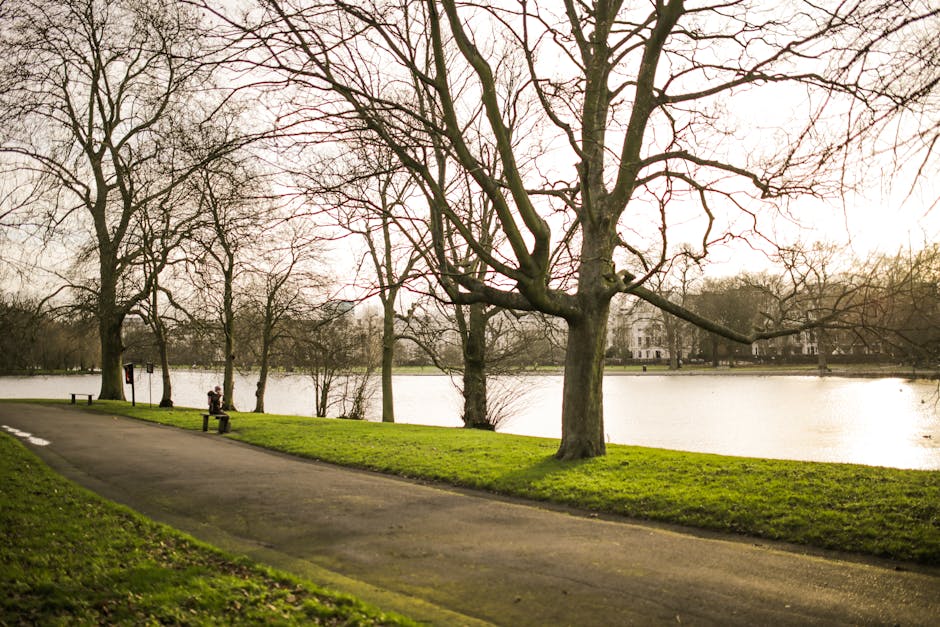 A paved pathway runs alongside a body of water in a park setting, with several large, leafless trees lining the path. In the background, a person is sitting on a bench, and an individual is visible near the water's edge. The scene features green grassy areas adjacent to the pathway, and the water appears calm, reflecting the muted, overcast sky. The park environment includes a mix of mature trees and open space, indicating a peaceful outdoor area suitable for leisure or walks. This setting illustrates a typical outdoor landscape that could be part of a residential or public park in Colliers Wood, with potential relevance to relocation services by Removal Van Colliers Wood involved in home and furniture transport, especially in the context of house removals or moving logistics.