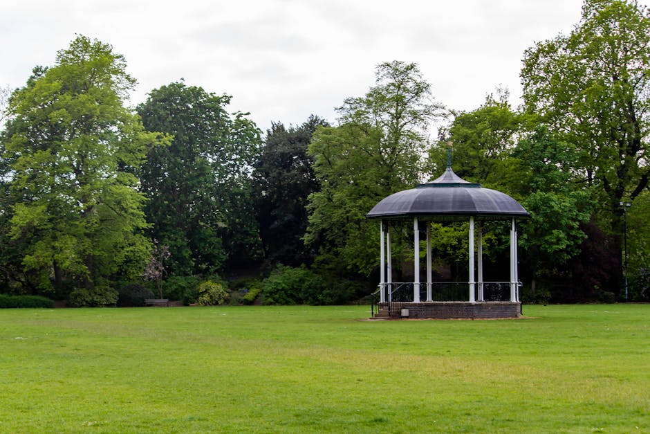 A scenic view of a park or garden area with tall, leafy green trees providing a canopy over a grassy ground with patches of sunlight filtering through the leaves. In the background, a narrow paved pathway is visible, partially obscured by dense shrubbery and bushes. The scene suggests an outdoor environment suitable for walking or outdoor activities, adjacent to a residential or public space. This setting could be part of a property where house removal or relocation services by Removal Van Colliers Wood are planned, incorporating the natural surroundings into the moving process or serving as a staging area for loading or unloading furniture and boxes in a home relocation project.